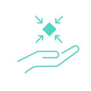 Feature Icon