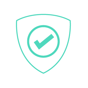 Feature Icon