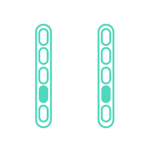 Feature Icon