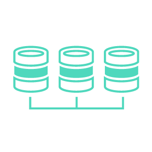 Feature Icon